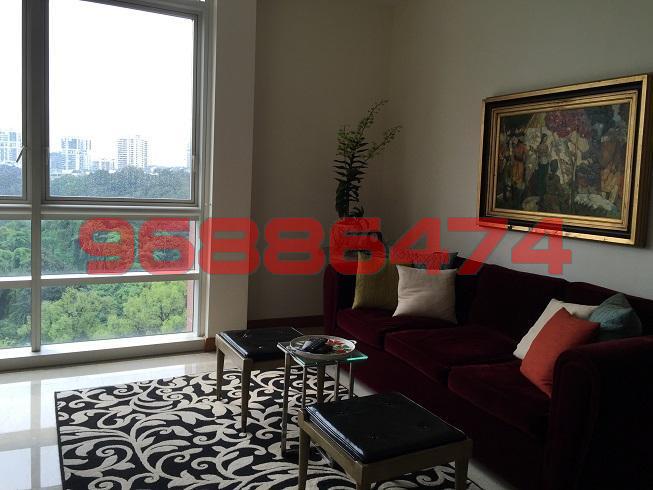 Scotts 28 (D9), Condominium #95163362